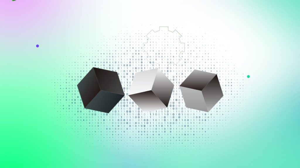 Black box vs white box vs grey box testing