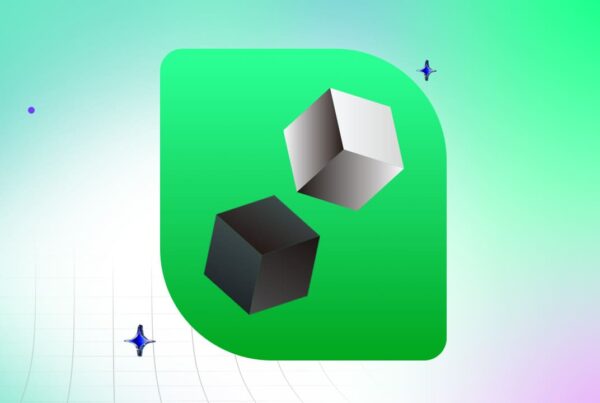 Black box vs white box testing