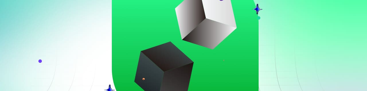 Black box vs white box testing